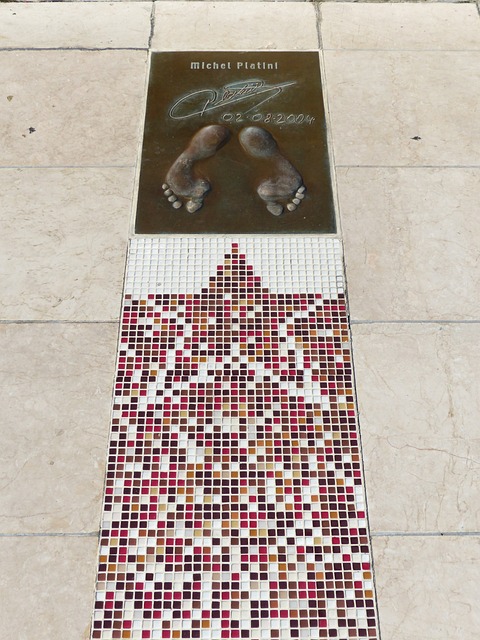 功引进了艾 功引进了艾