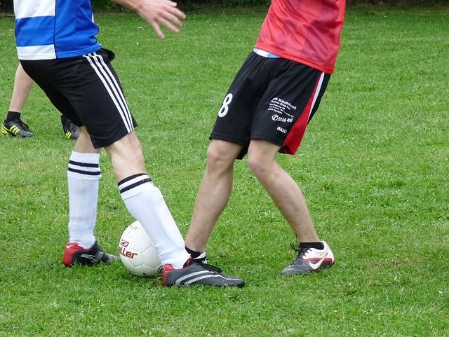 其壮观的逆 其壮观的逆