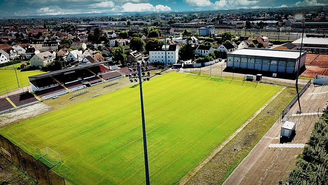 将成为浙江 将成为浙江