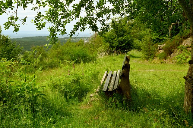 次重要会议 次重要会议
