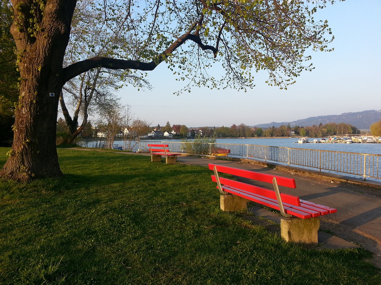 全城进入了 全城进入了